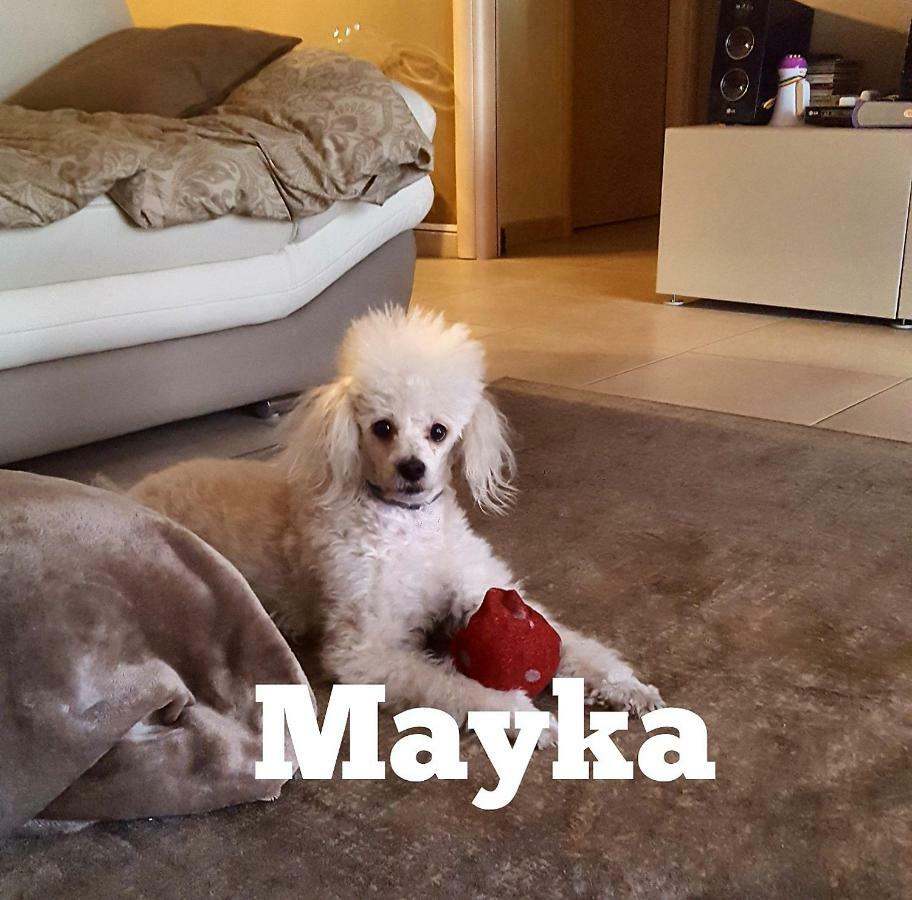 Mayka Home - Gf Apartment 卡塔尼亚 外观 照片